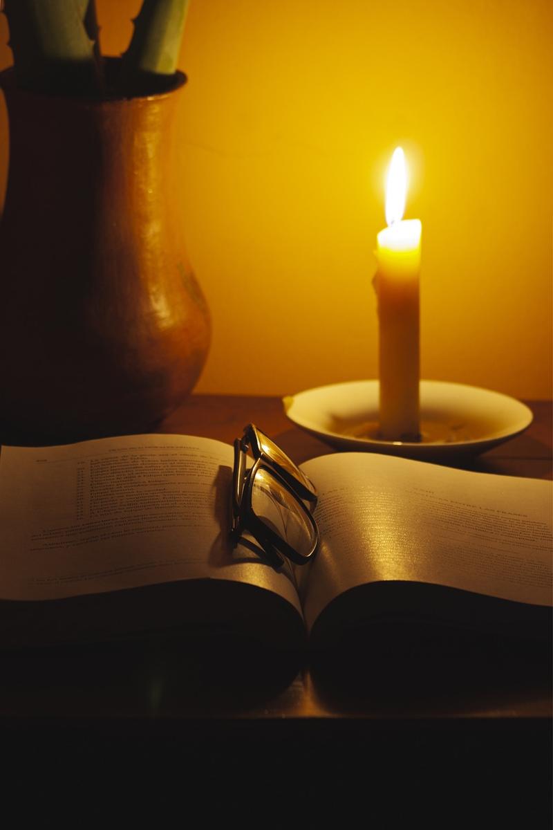 study area